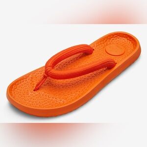 NWT - Sugar Zeffer 2 Flip Flops.